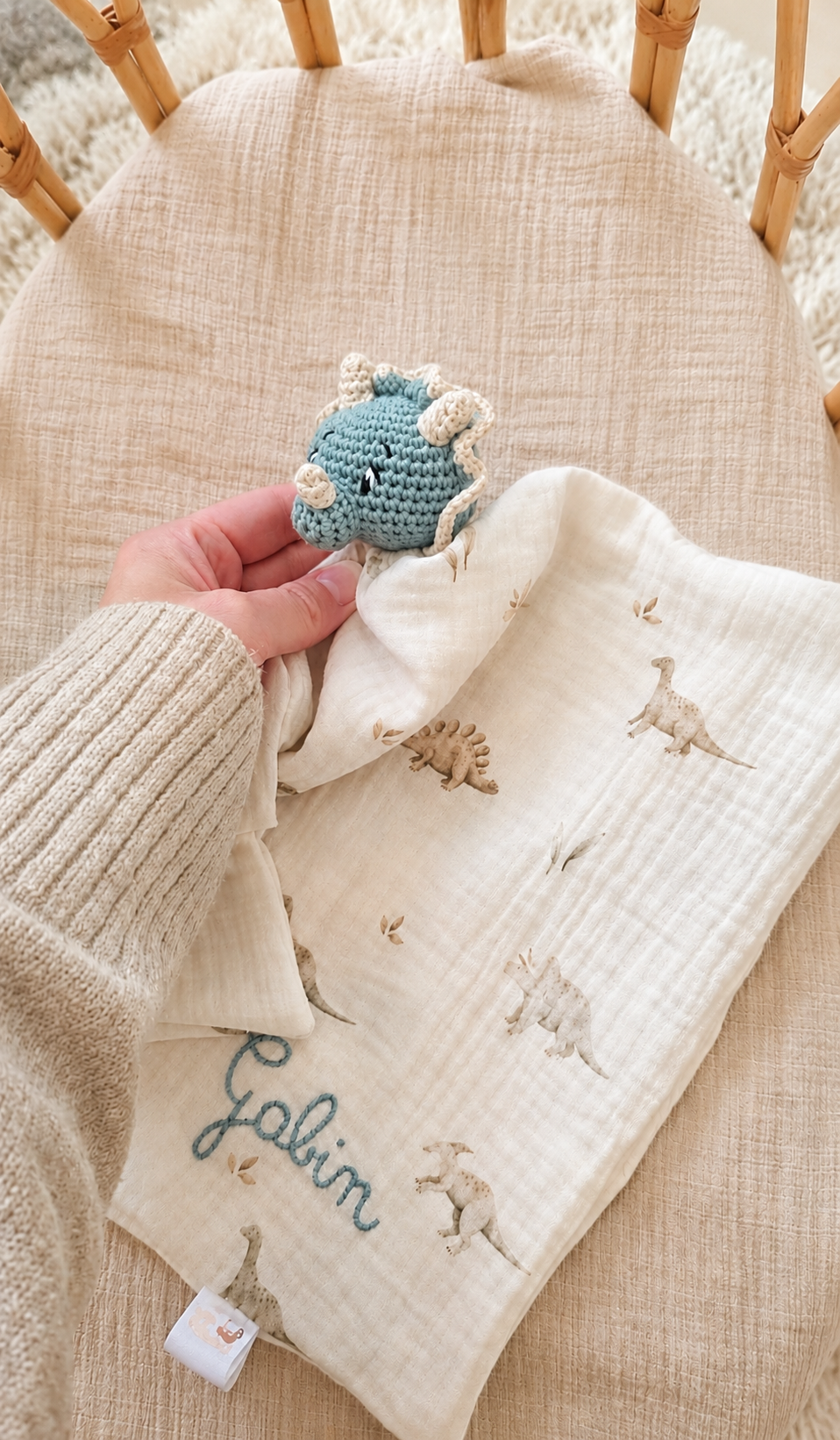🦕 Doudou Dino