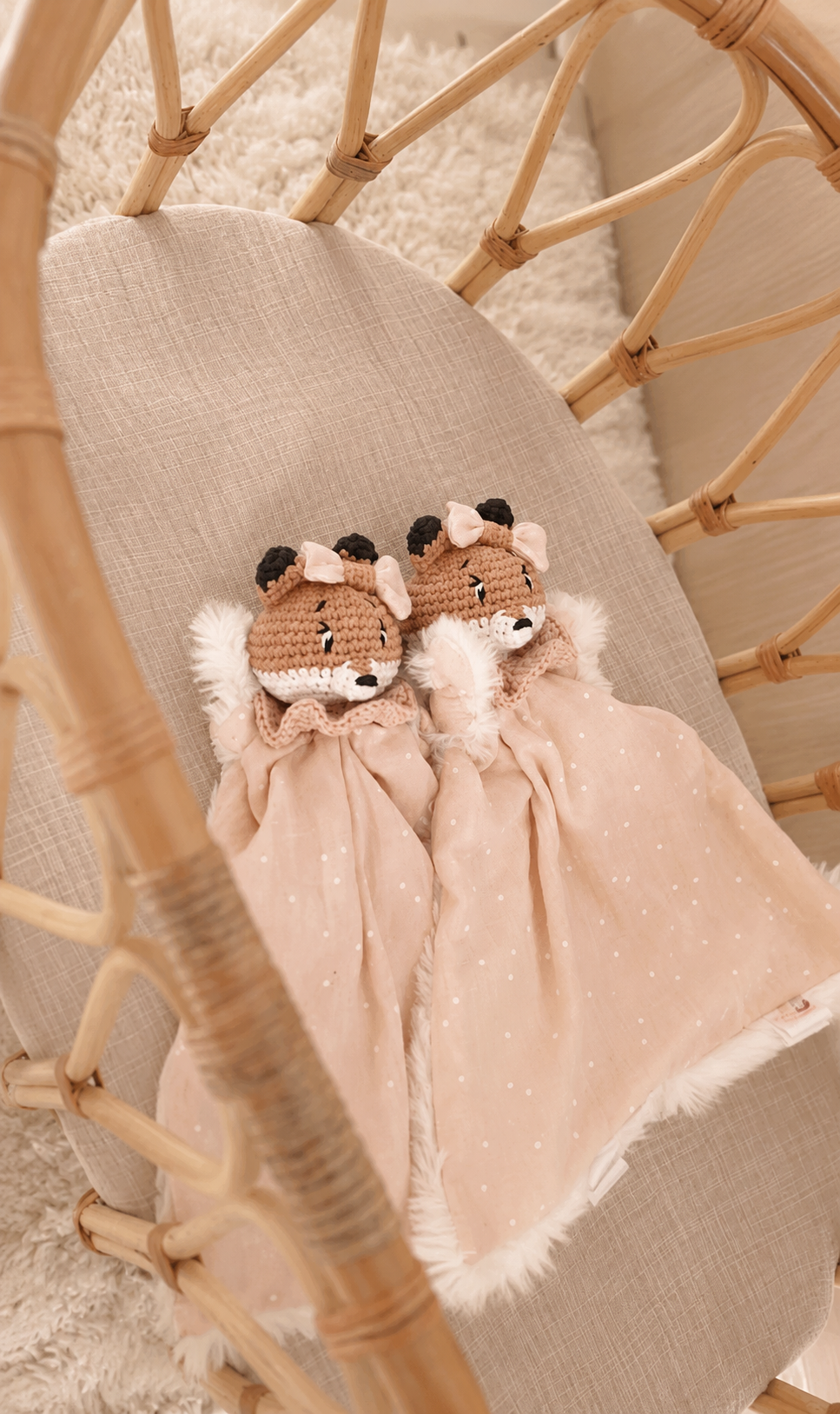 🦊 Doudou Renard